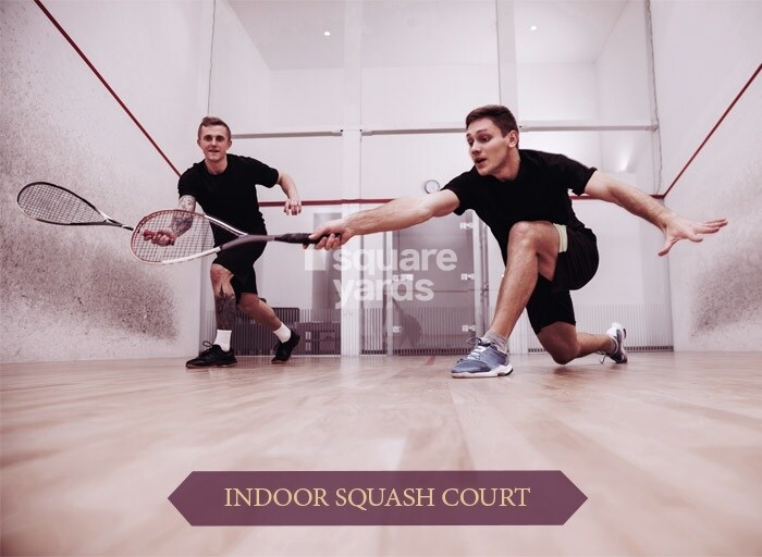 AU The Sunflower Sports facilities Image 5