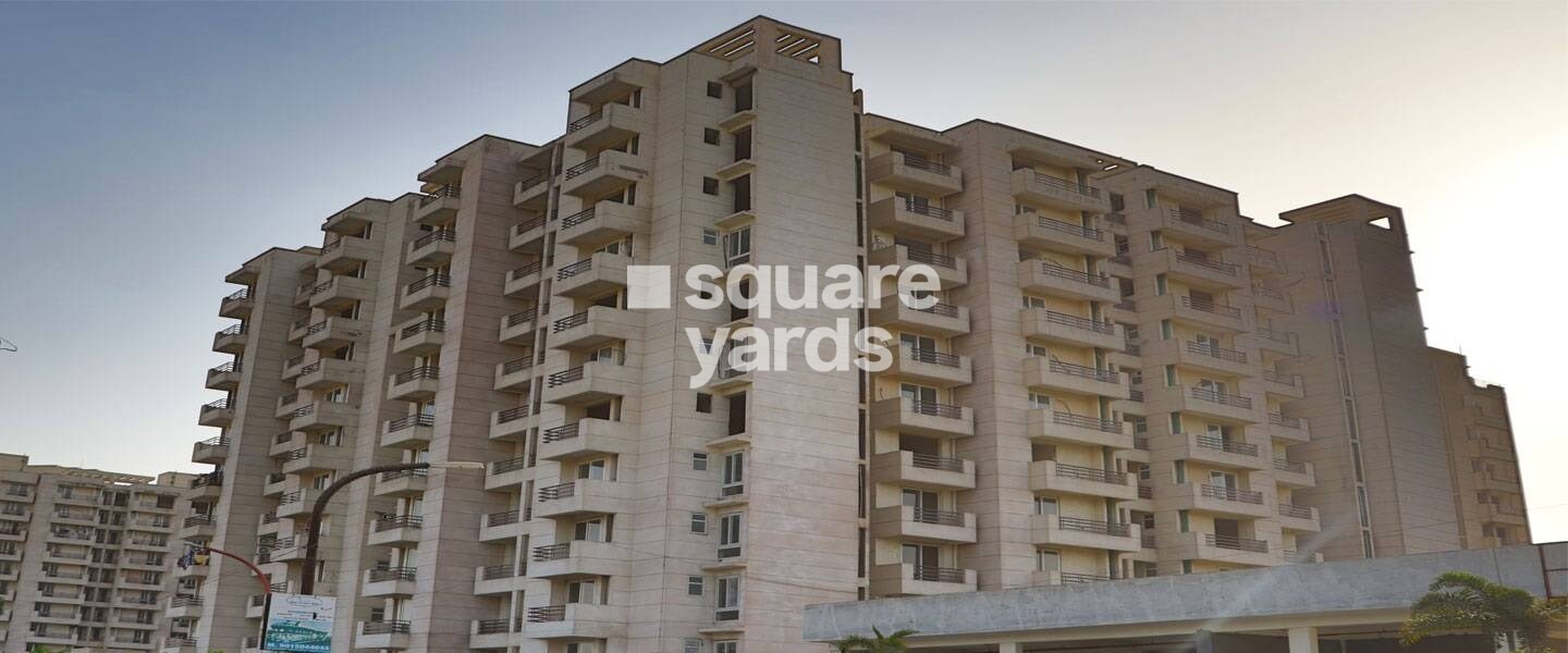 Care The Alien Court