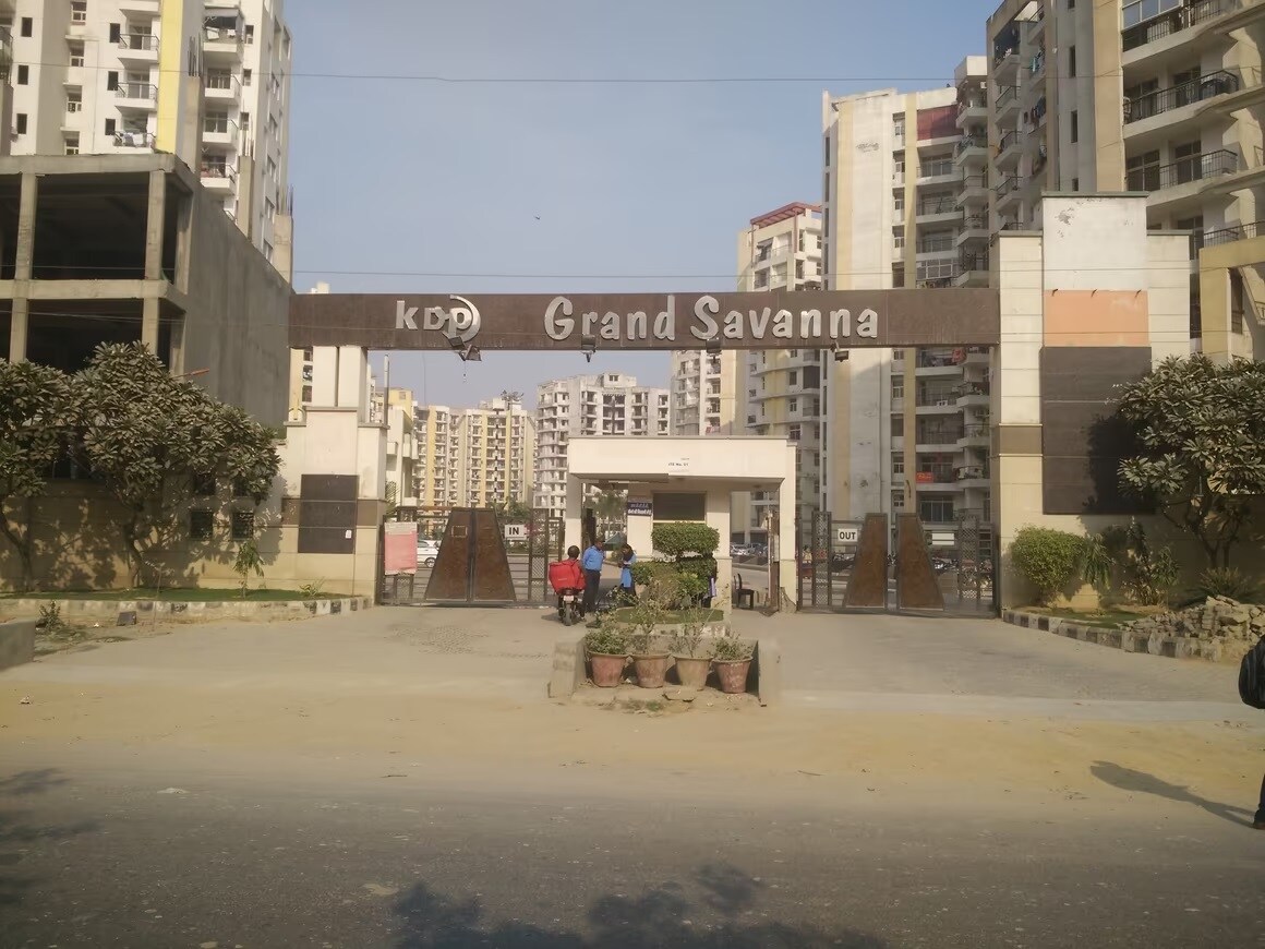 KDP Grand Savanna