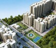 KW Srishti