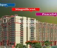 LR Bluemoon Homes