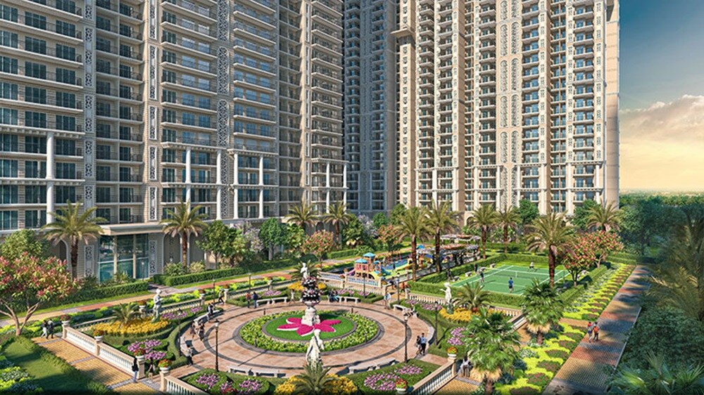 Prateek Grand Begonia