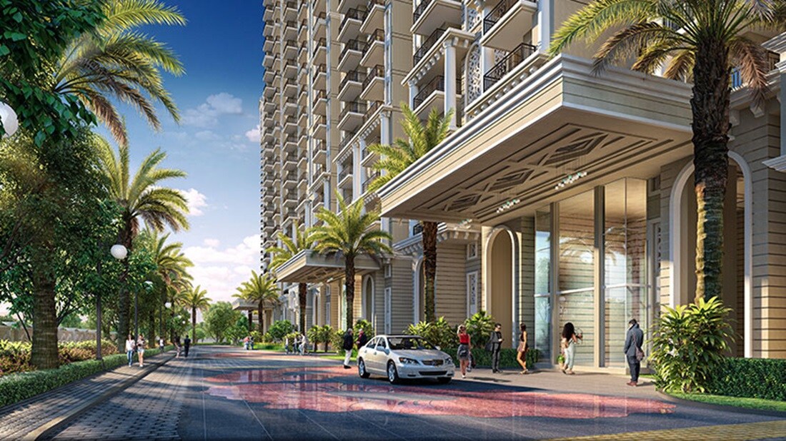 Prateek Grand Begonia