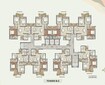 Prateek Grand Begonia Floor Plans