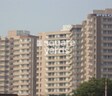 Proview Laboni