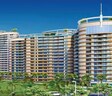 Rise Organic Homes