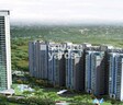 Rudra Pavo Real
