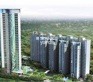 Rudra Pavo Real Tower View
