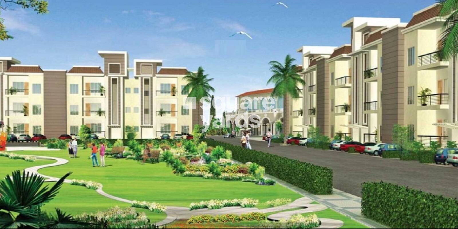 SARE Springview Floors