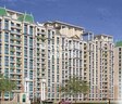 Shipra Neo