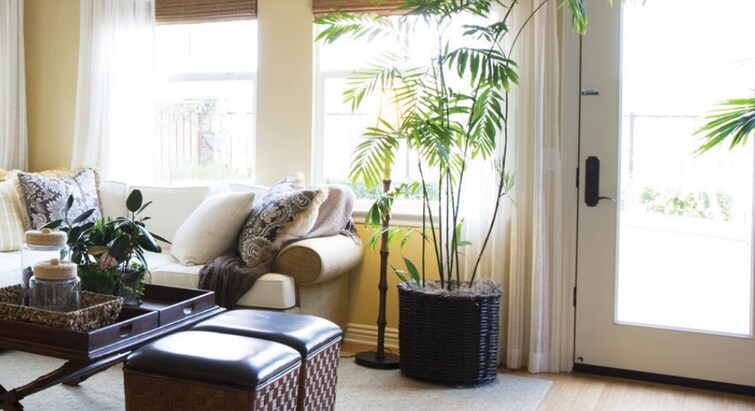 Shipra Srishti Apartment Interiors 2