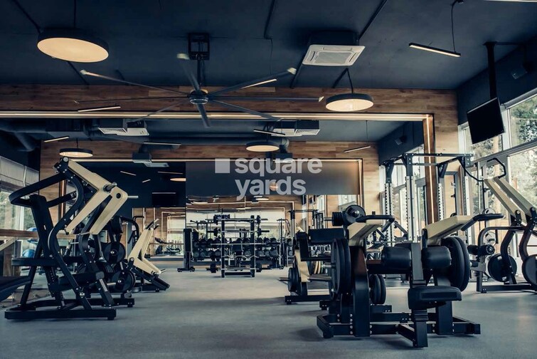 Uchdpl Veridia Oakwood Enclave Gymnasium Image