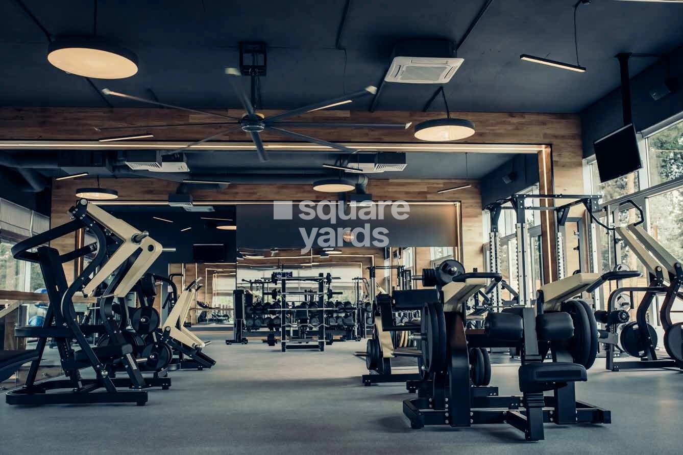 Uchdpl Veridia Oakwood Enclave Gymnasium Image