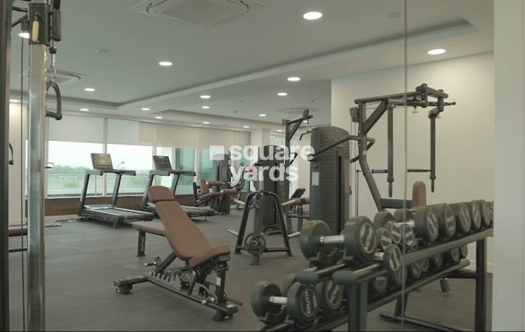 Wave Floors Gymnasium Image