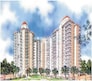 Amrapali Royal Flagship Image