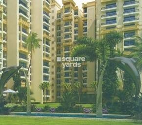 Ascent Palm Heights Video