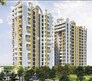 Divyansh Fabio Flagship Image