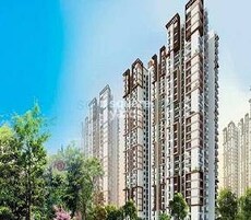 Gaurs Celestial Featured Image