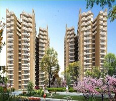 Keltech Golf Vista Featured Image