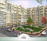 Niho Jasmine Scottish Garden Flagship Image