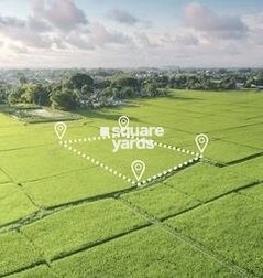 Rose N City 3 Rose N City 3