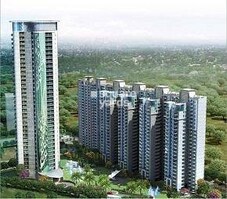 Rudra Pavo Real Featured Image