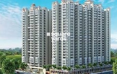 SG Shikhar Height Featured Image