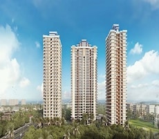 SKA Divine Featured Image