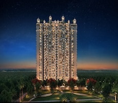 VVIP Namah Featured Image