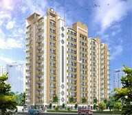 VXL French Arcade Video