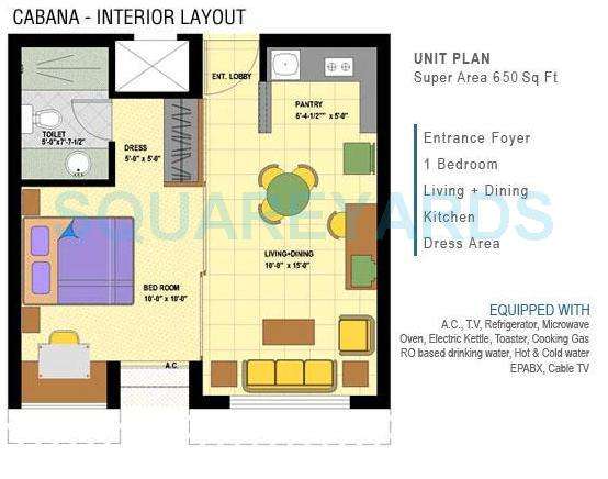 1 BHK 650 Sq. Ft. Apartment in Assotech Cabana
