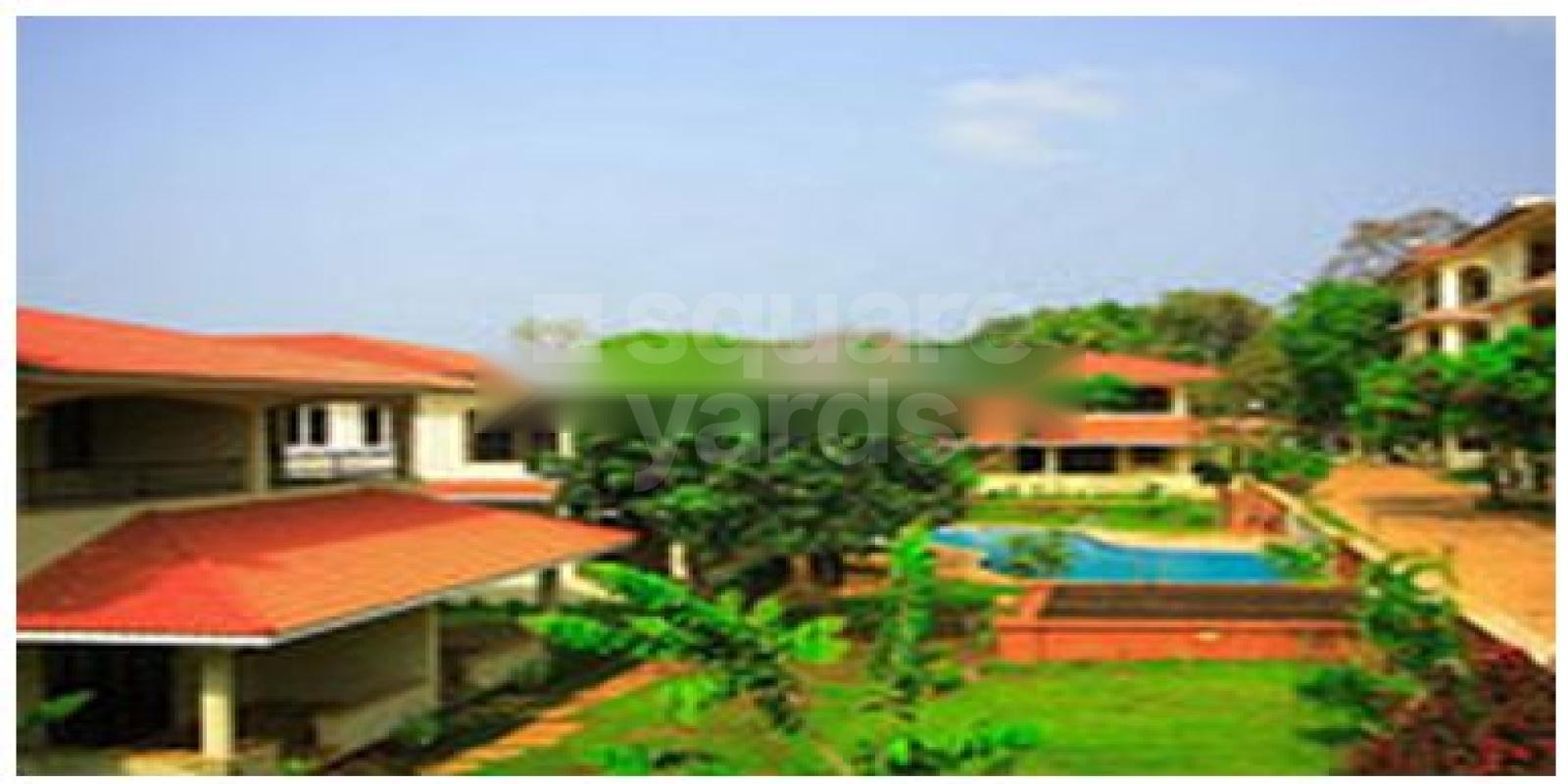 Acron Villa Violeta Featured Image