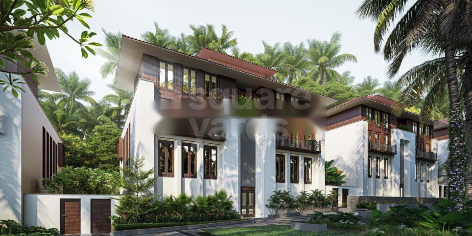 Alaya Featured Image