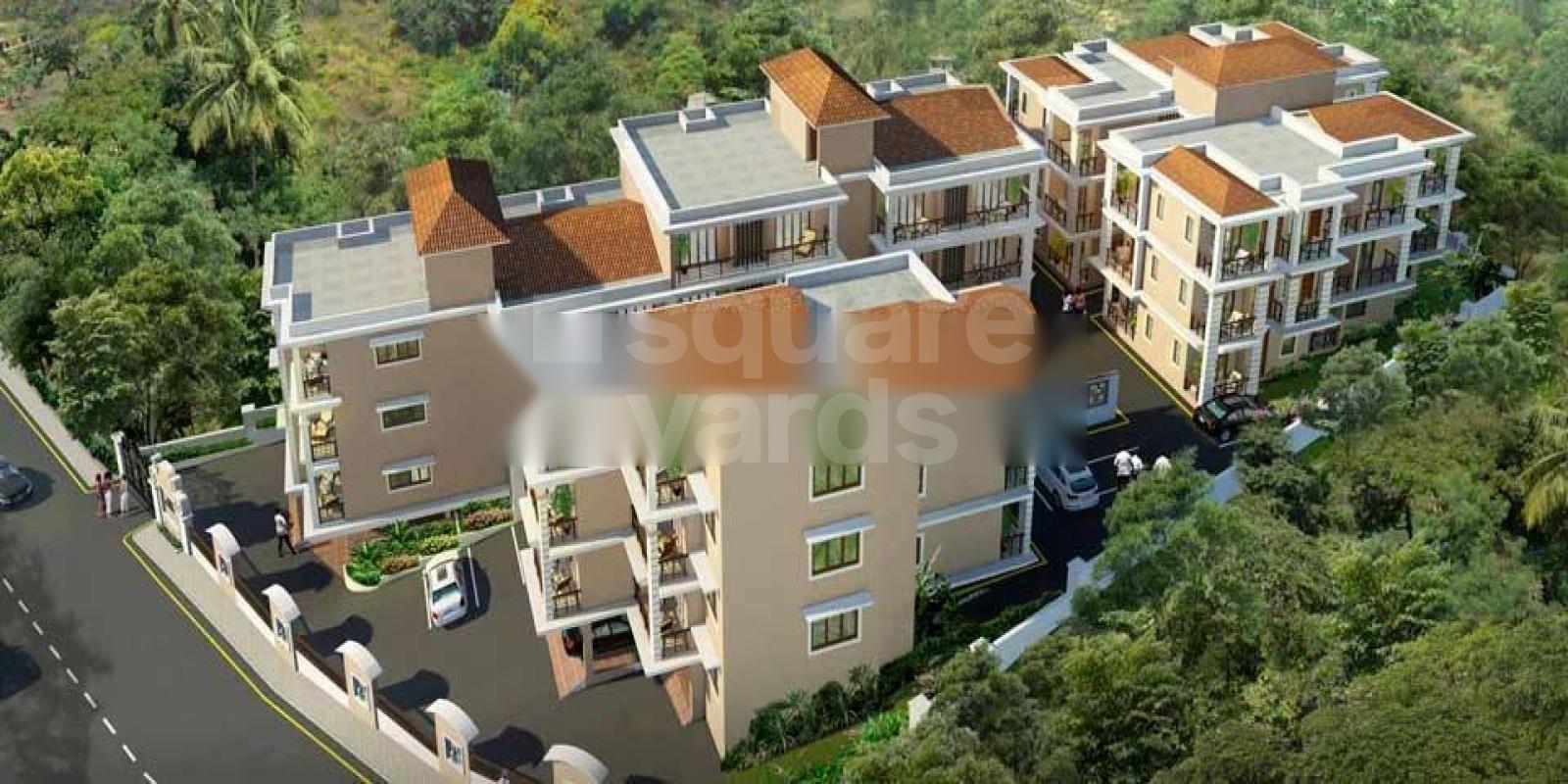 Calm The Acasia Greens