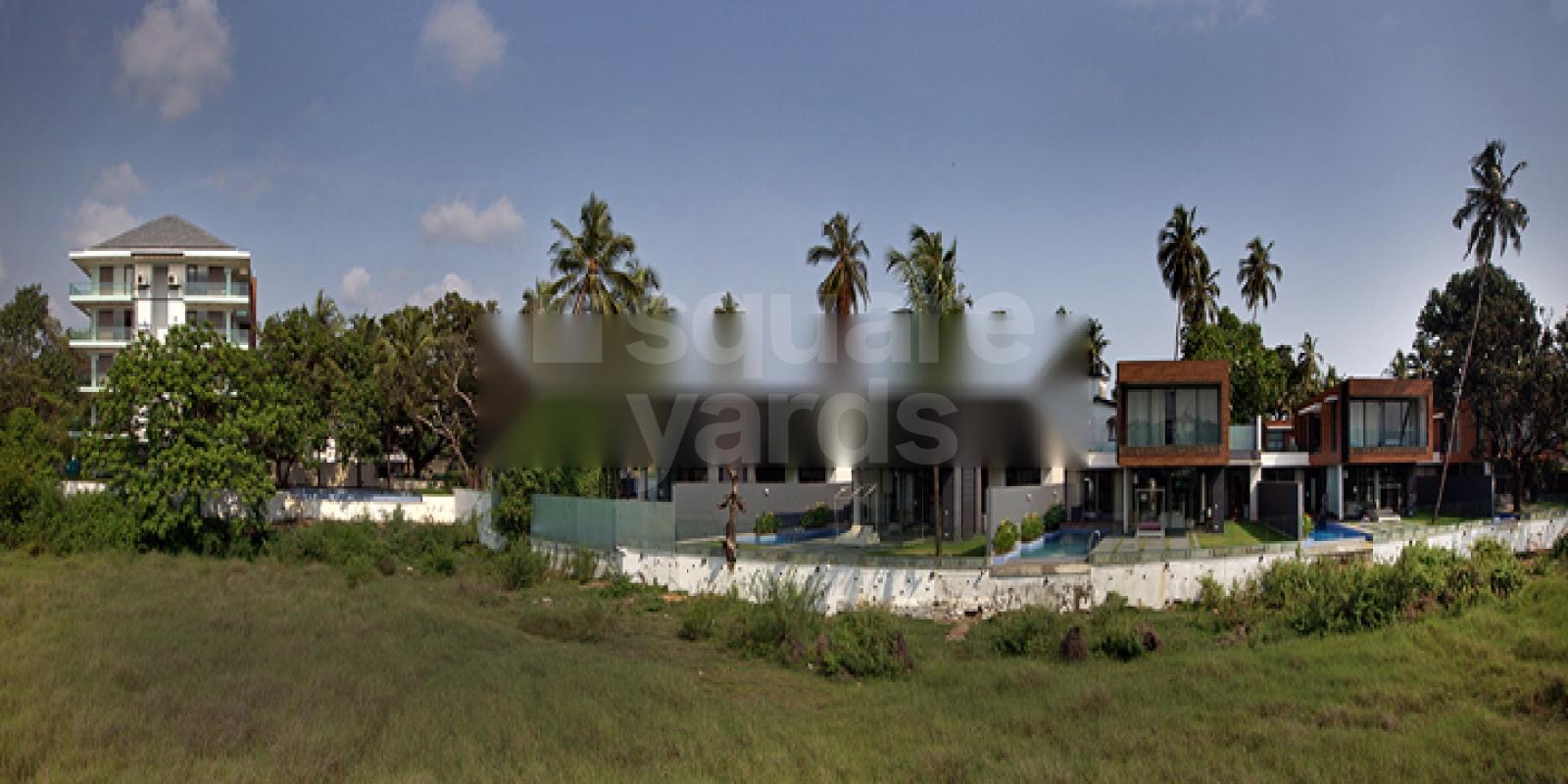 Conscient Calem Grove