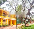 Cosme Costa Colonia De Flores