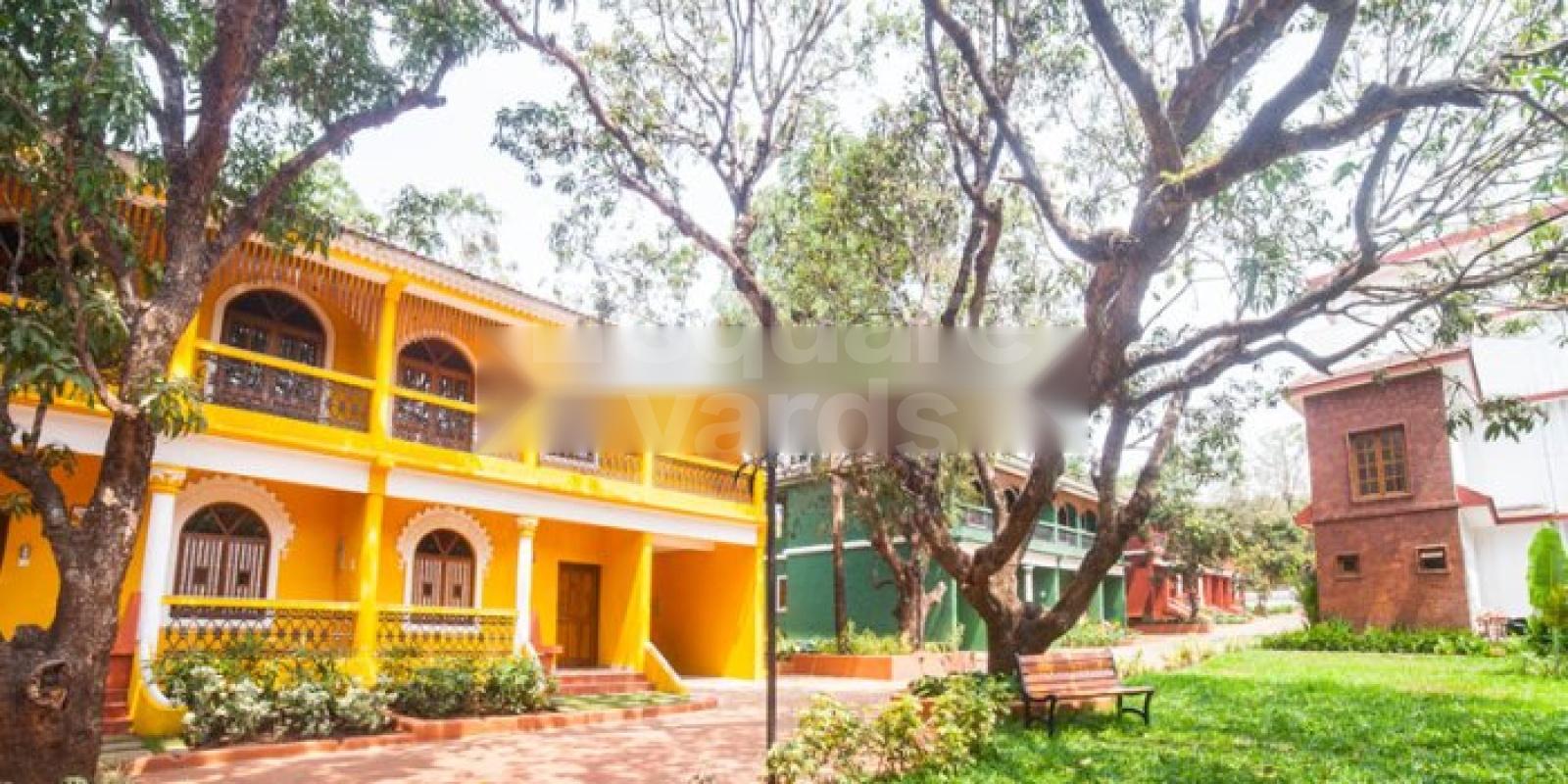 Cosme Costa Colonia De Flores Cover Image