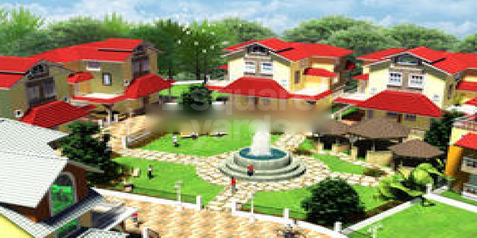 Dream Village Cover Image