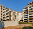 Essen Whispering Willow