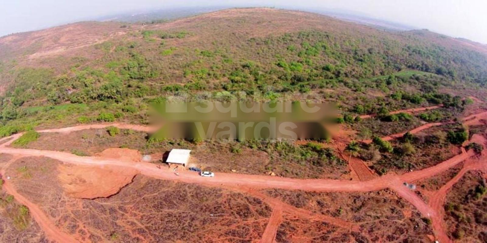 GM Orchid Featured Image