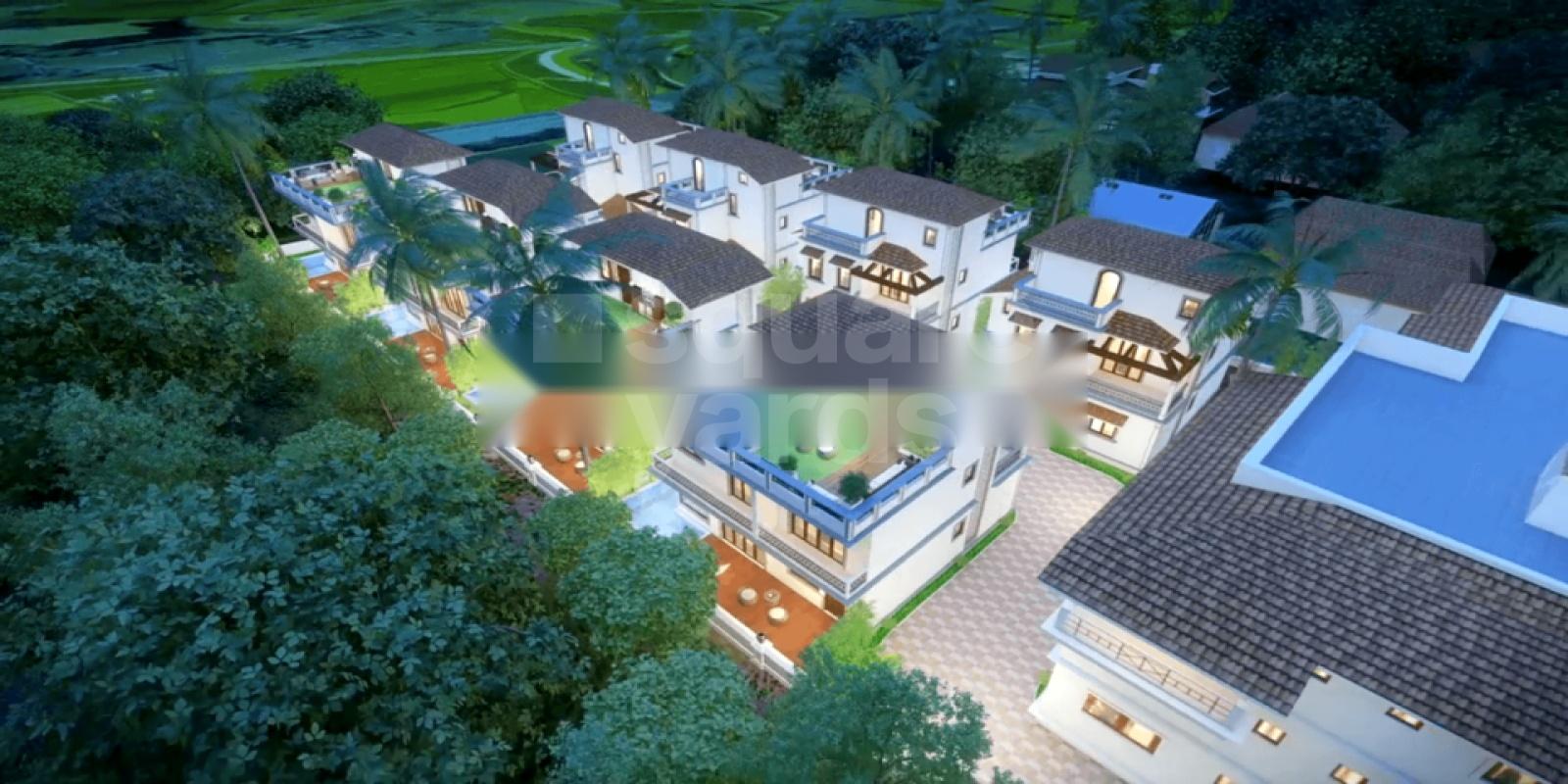 Jaglax Marsierra, Siolim, Goa