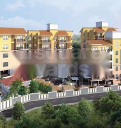 Kamat Exotic Palms Kamat Exotic Palms