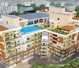 Kayji Palladium