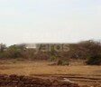 Malhan Plots