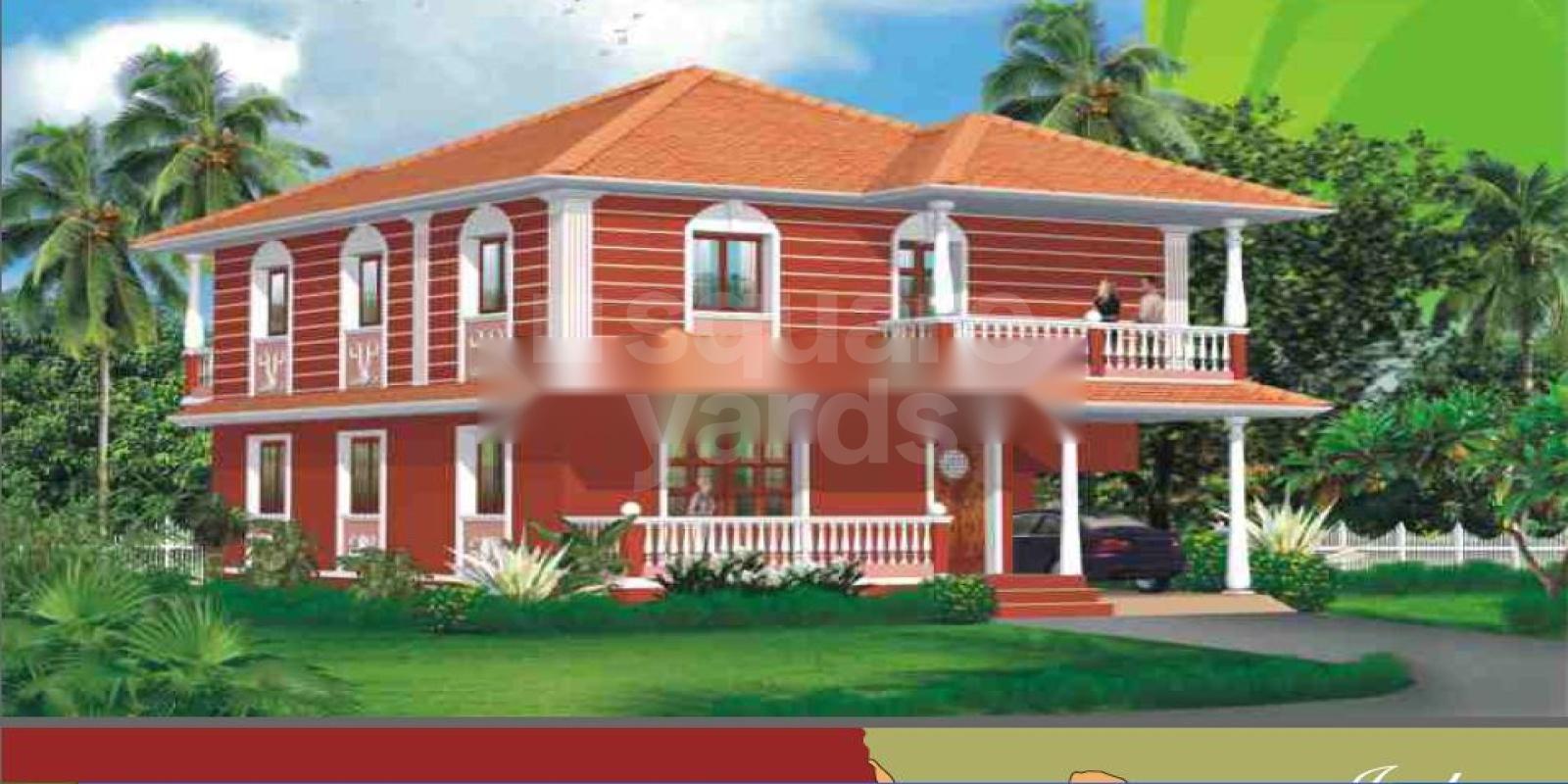 Nanu Sapana Palmeiras Featured Image