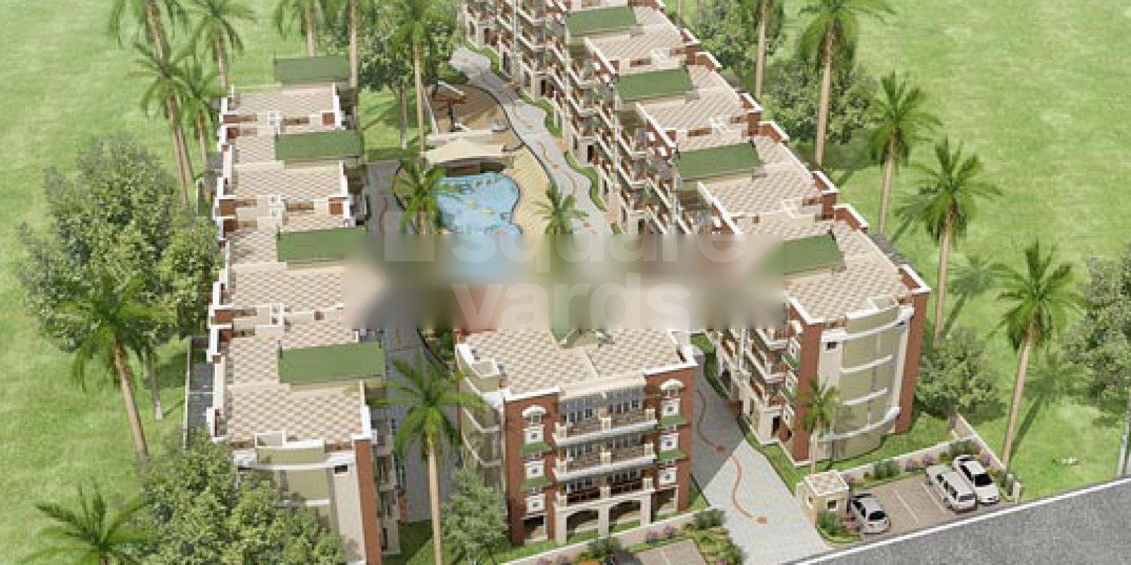 Niho Scottish Palm Groove