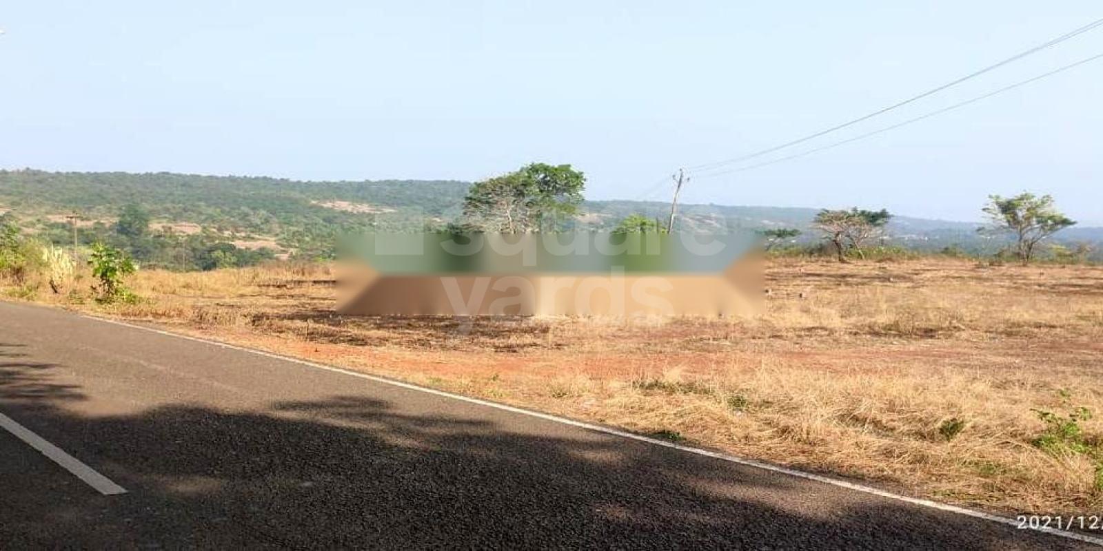 Omnimind Shantabai Greenscape Cover Image