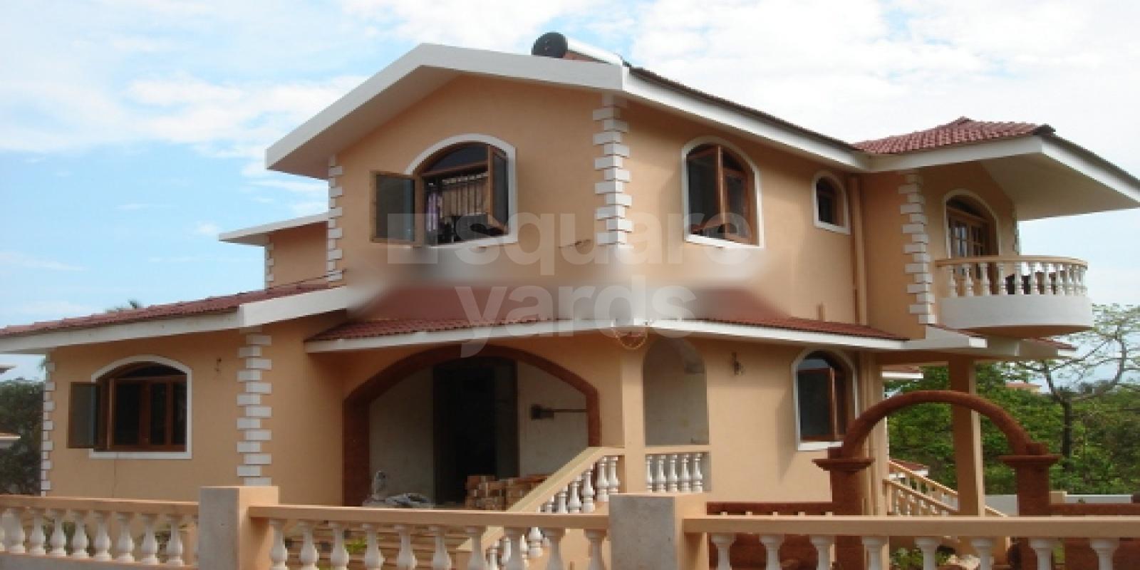 Pinto Rosario Splendour