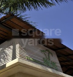 Prudential Palms Prudential Palms