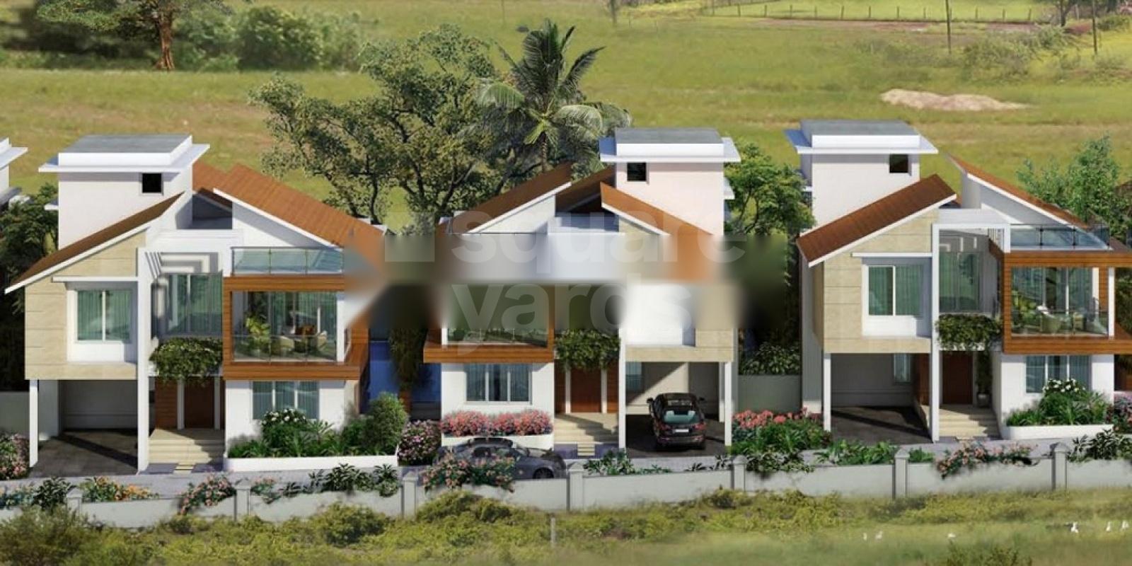 Rainforest Boulevard